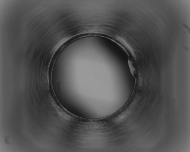 X0000093150980200710171347