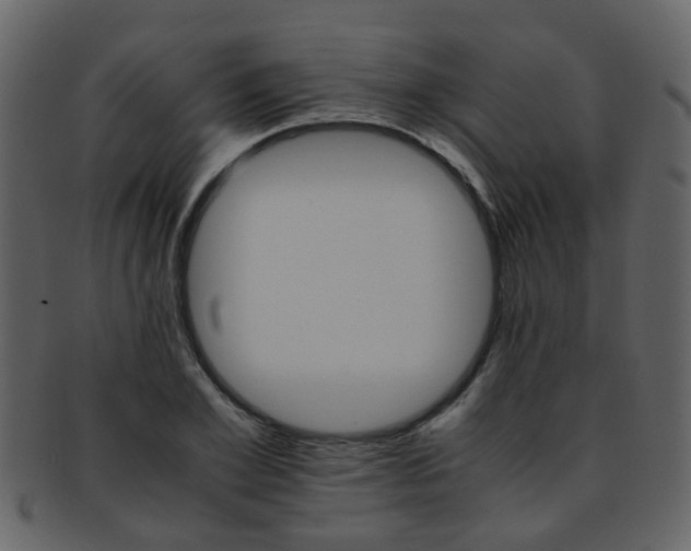 X0000093150981200710171347