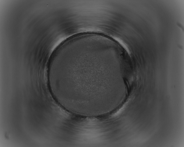 X0000093150983200710171347