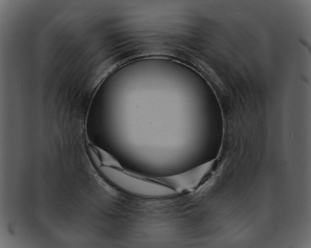 X0000093150985200710171347