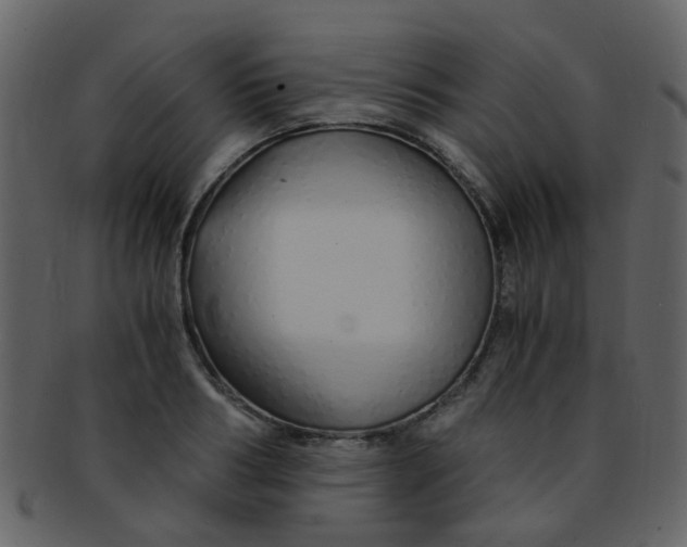 X0000093150986200710171347