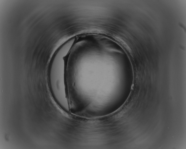 X0000093150989200710171347