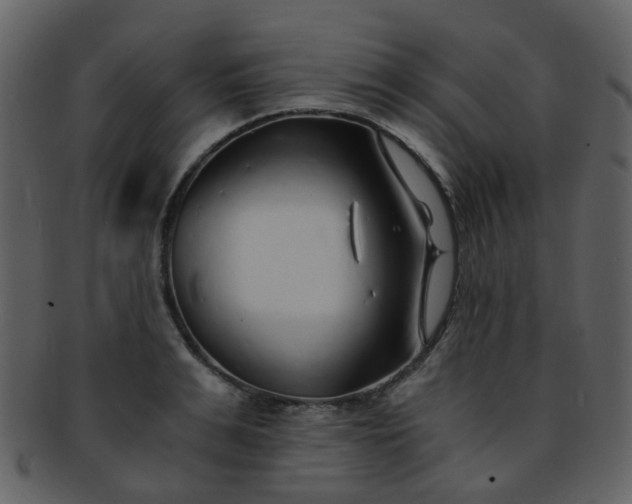 X0000093150991200710171347