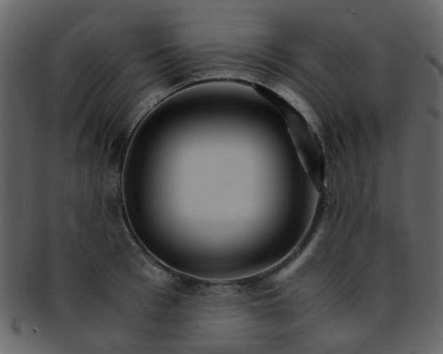 X0000093150993200710171347