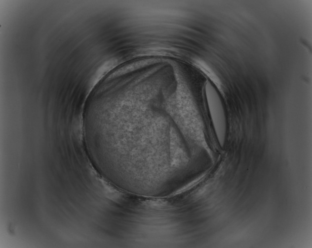 X0000093150994200710171347