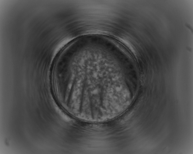 X0000093150995200710171347