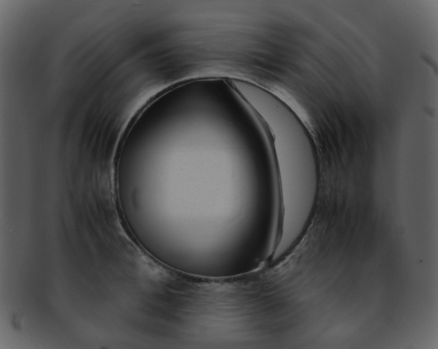 X0000093150996200710171347