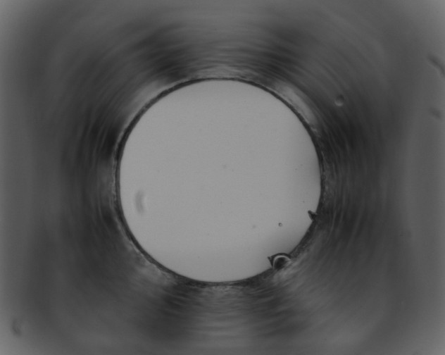 X0000093151000200710171347