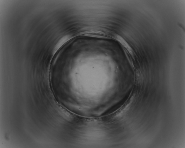 X0000093151002200710171347