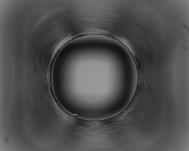 X0000093151003200710171347