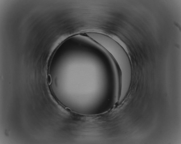 X0000093151005200710171347