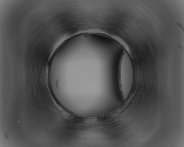 X0000093151006200710171347