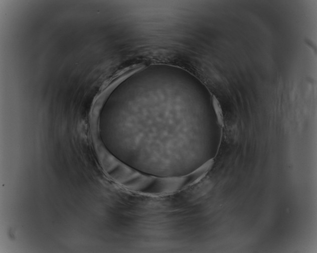 X0000093151010200710171346