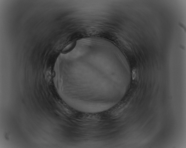 X0000093151011200710171346