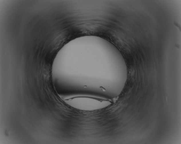 X0000093151012200710171346