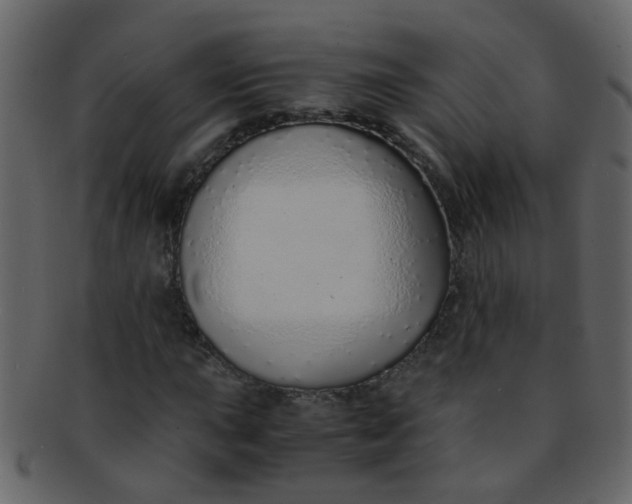 X0000093151015200710171346