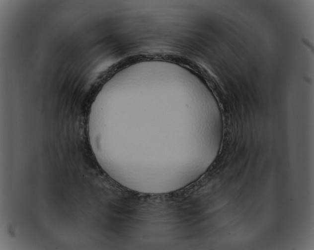 X0000093151016200710171346