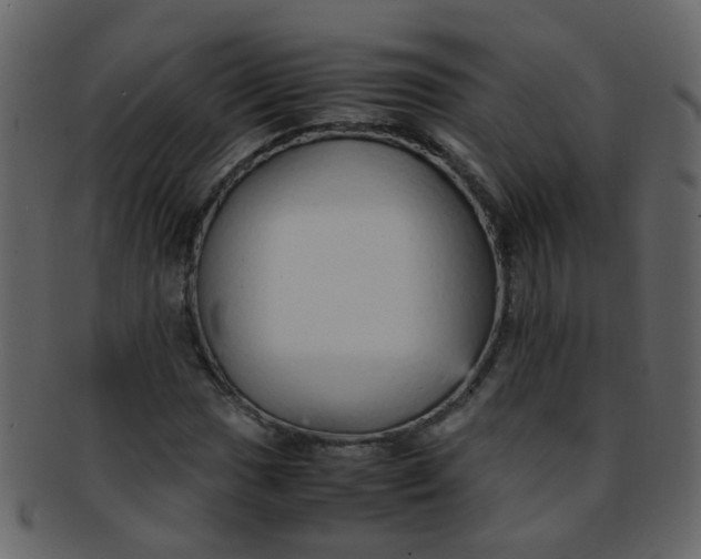 X0000093151017200710171346