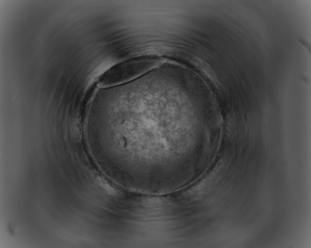 X0000093151018200710171346