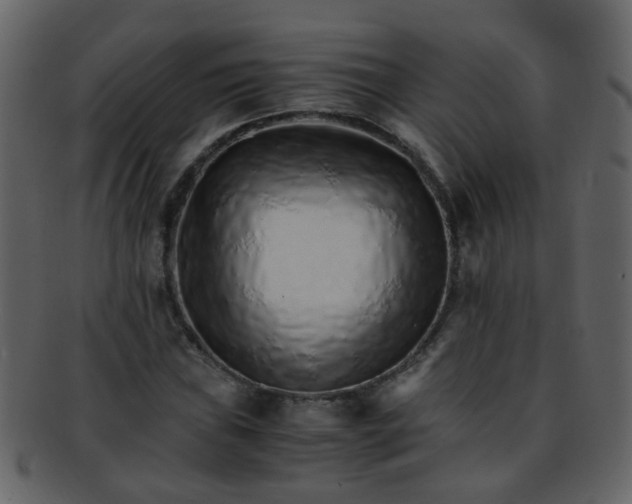 X0000093151019200710171346