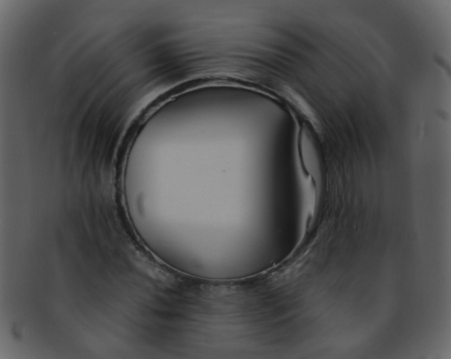 X0000093151020200710171346