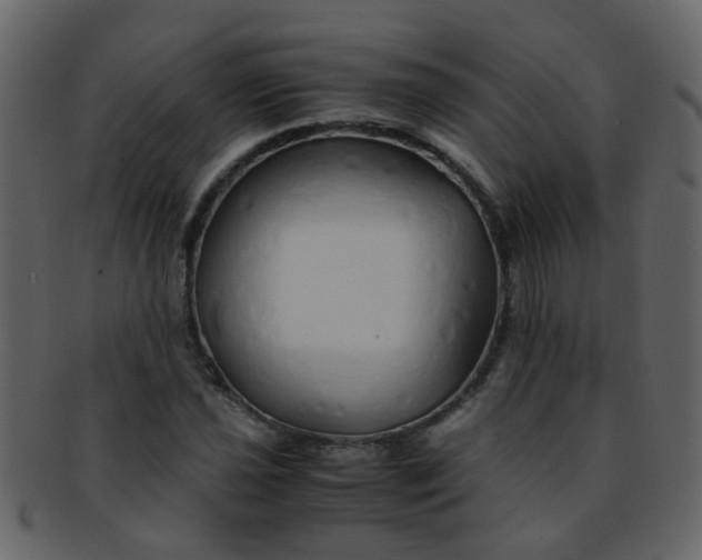 X0000093151021200710171346