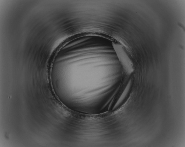 X0000093151022200710171346