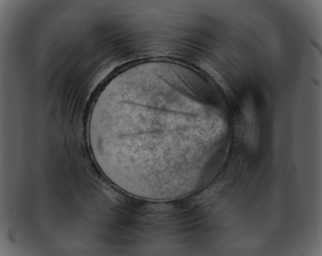 X0000093151023200710171346