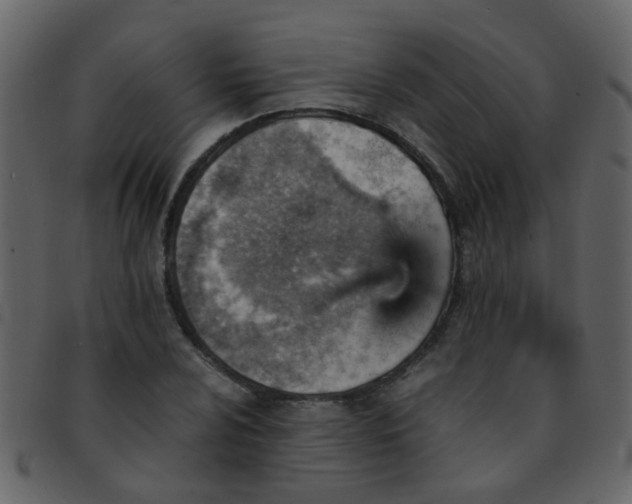 X0000093151024200710171346