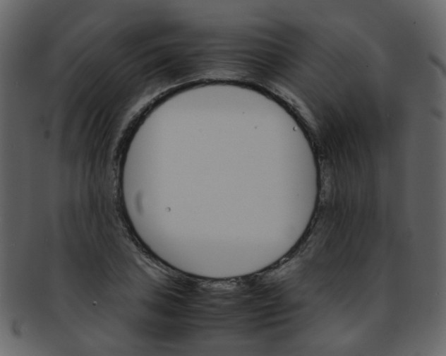 X0000093151027200710171346