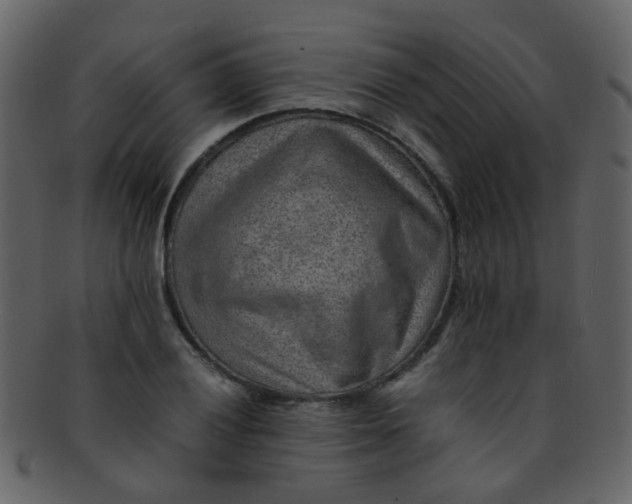 X0000093151028200710171346