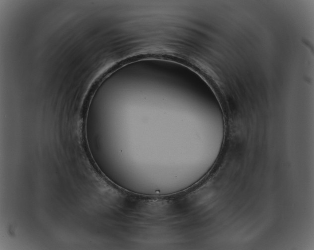 X0000093151029200710171346