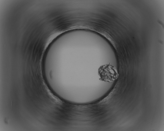 X0000093151030200710171346