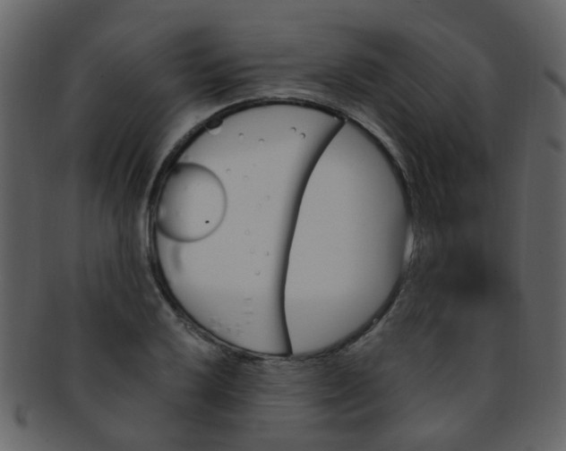 X0000093151032200710171346