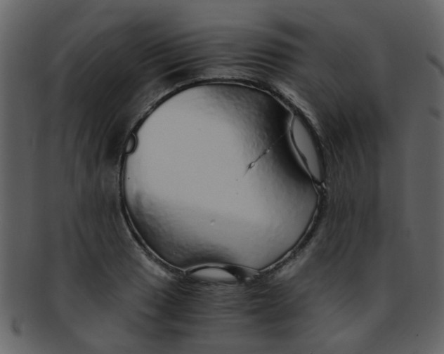 X0000093151033200710171346