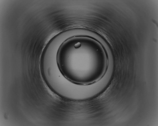 X0000093151034200710171346