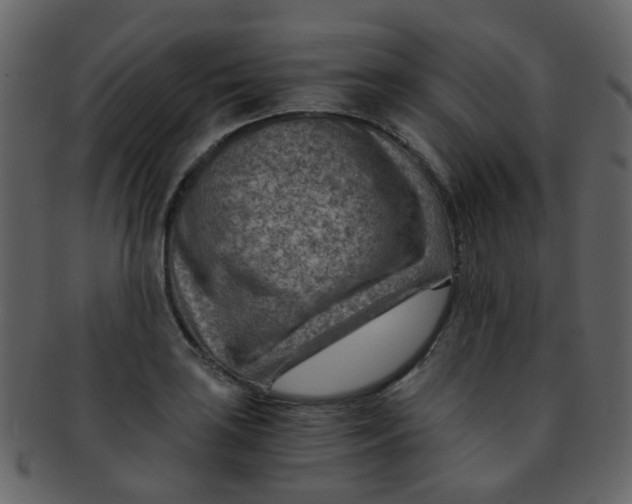 X0000093151035200710171346