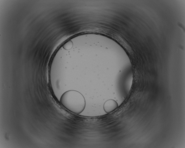 X0000093151036200710171346