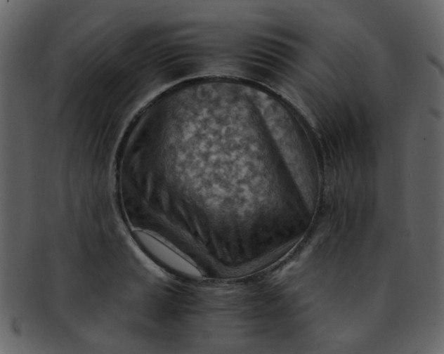 X0000093151037200710171346