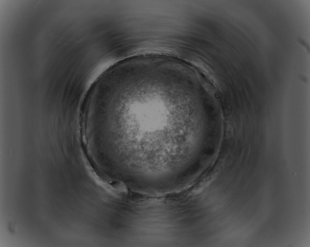 X0000093151038200710171346