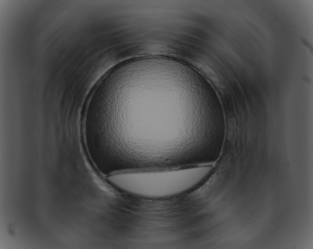 X0000093151039200710171346