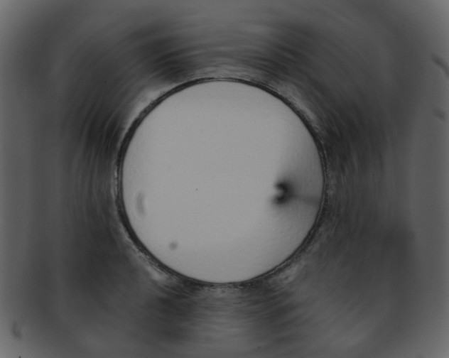 X0000093151040200710171346