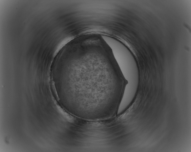 X0000093151042200710171346