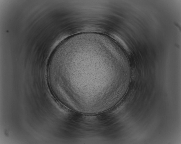 X0000093151043200710171346