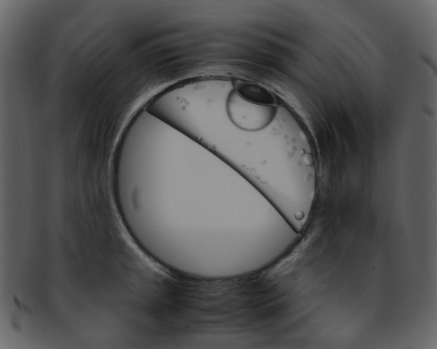 X0000093151045200710171346