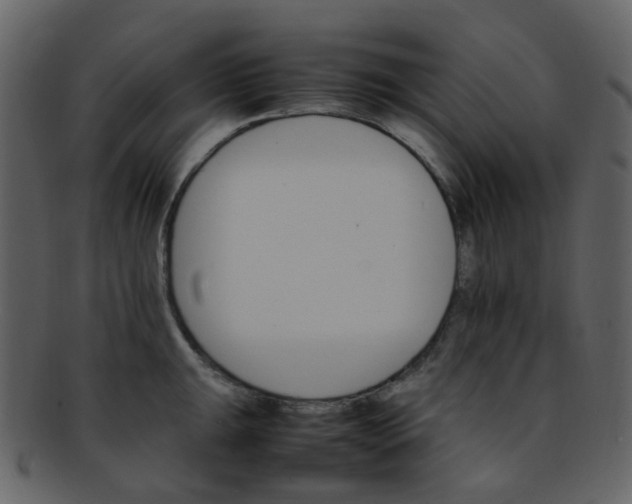 X0000093151047200710171346