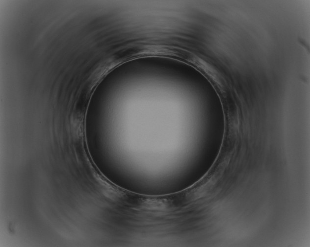 X0000093151049200710171346