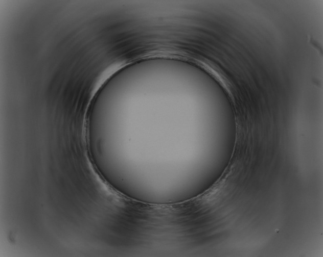 X0000093151050200710171346