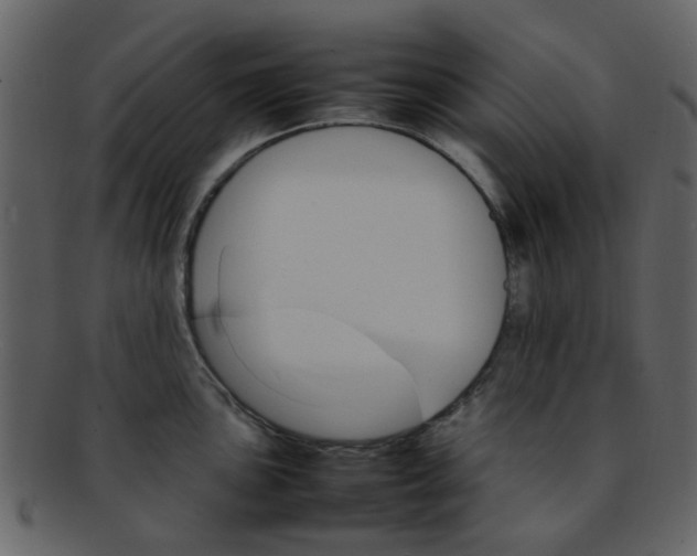 X0000093151051200710171346