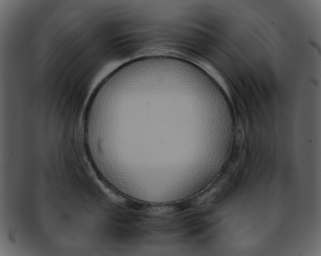 X0000093151053200710171346